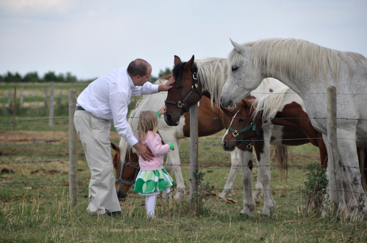 Meeting the horses 5